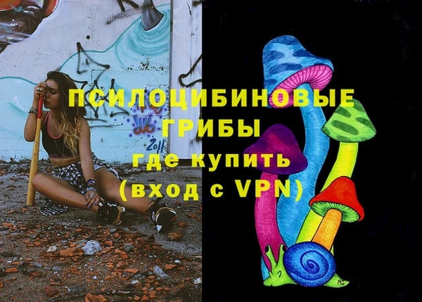 прущая мука Верея